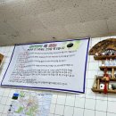 비룡앞 도로변 이미지