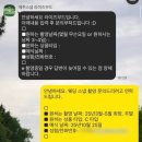 고원웨딩홀 | W5. 제주 웨딩 스냅 예약 후기 ( 라이즈무드, 율그라피, 고원 제주, 하이재이, 조이투어 )
