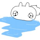 꿀돼지 네이버블로그