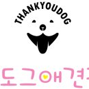 땡큐펜션 이미지