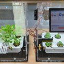 모전초등학교 이미지