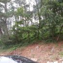 아주-0044 이미지