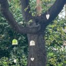 수원-0813 이미지