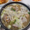 진도여라 | 부모님과 전라남도 진도 여행 쏠비치진도 현지인 맛집 추천