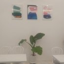 토끼를따라간앨리스 이미지