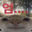 새소망푸드뱅크 | 이제 저의 직업은 real 백수입니다
