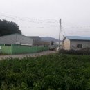 수원-0359 이미지