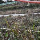 고덕수변공원 이미지