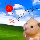고야미 이미지