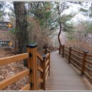 수정4동초소 이미지