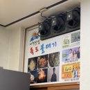 독도볼태기 네이버블로그