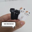 디자인픽 | 귀여운 디자인에 실용성까지 마스픽 고양이 벨크로 타이 후기