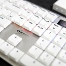 체리PC | 체리 엑스트리파이 MX 10.1 LP 8K, 로우 프로파일 무선 게이밍 키보드 추천