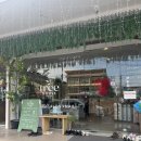 아로마크린 | 푸켓 트리하우스 마사지 예약 샤워 가능 공항 근처 임산부 후기