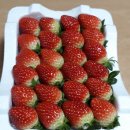 진성농장2 이미지