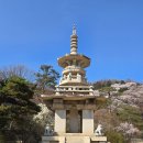 11650-1-10-562 | 용인 호암미술관 전시 예약 방법, 카페 스토어 굿즈 데이트코스 후기