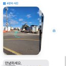 종달차경(메리골드) 이미지