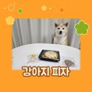 콩이네 멍냥 수제간식 이미지