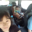 재일펜션 민박 | 2018년여름휴가 화진포해수욕장in제일펜션