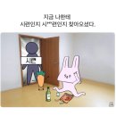 세븐일레븐 천마산점 | 3월 일상 기록 🤦🏻‍♀️🥹