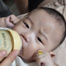 고산동 | 의정부 백일떡 답례떡 맞춤 추천 고산동 사오월 내돈내산 후기