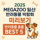 다온펫# | 다온이 어매의 반려꿀팁 #3 - [2025 메가주 일산 박람회] 반려동물과 함께하는 국내 최대 펫페어 미리보기!