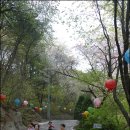 빛나라유치원 이미지