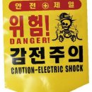 디더블유 이미지