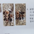 아동수학지도 이미지