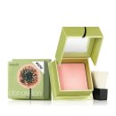 단델리온 이미지