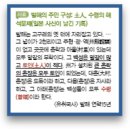 [2018년 12월 22일 시행 일반경찰 3차 시험 한국사 기출해설 및 적중사례] - 윌비스 신광은 경찰학원 한국사 원유철 이미지