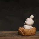 다우장식