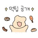 육지로온해적