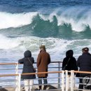 바다랑파도랑 이미지