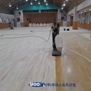 솔안초등학교 티스토리