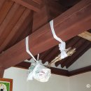 중동성황당 이미지