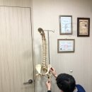 서울드림정형외과의원 이미지