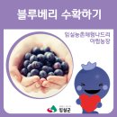 아림농장 이미지