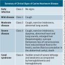 늘봄동물병원 이미지
