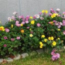 바른음식연구소