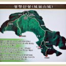 대인항공여행사