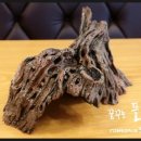 [게코스토리] 미니은신처 구매후기