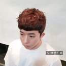스윗남성전문샵