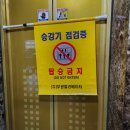 경월농장 | 토끼가 브이를 하면 토끼가 세 마리