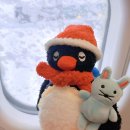 한양대 태양8태권도장 | 발등에 불떨어져서 쓰는 연말 블로그..❄️❄️