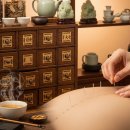 동국대학교(WISE) 의학전문대학원 | 한의과대학 진학 및 한의사 진로 심층 분석 보고서