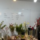 힐링꽃꽂이 | 힐링 되는 이색 꽃꽂이 원데이 클래스 후기 (이끼 꽃꽂이 + 내돈내산)