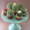 사랑줄개 이미지