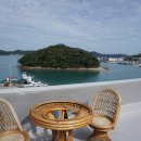 완도네시아 이미지