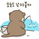 짱인형뽑기 이미지